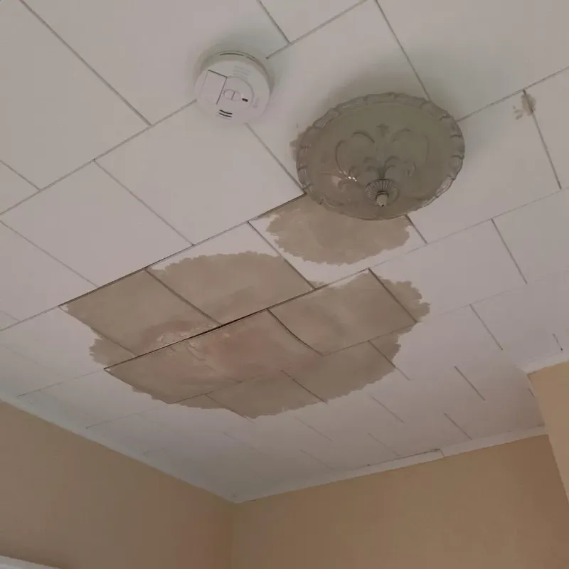 Ceiling Water Damage Repair in East Cleveland, TN