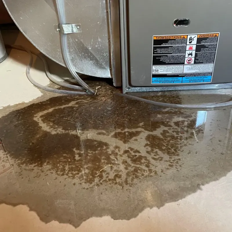 Pipe Burst and Leak Restoration in East Cleveland, TN