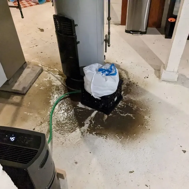 Sewage Backup Cleanup Service in East Cleveland, TN